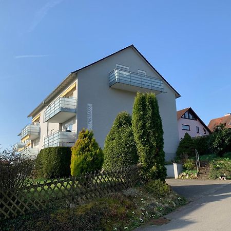 Micro-Apartment In Seenaehe Fusslaeufig Zum See:)) Ohningen Kültér fotó